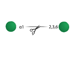 Core Alpha Mannosidase